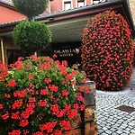 Hotel Olawian